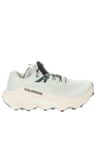 Obuwie damskie Salomon, Rozmiar 38, Kolor Zielony, Cena 674,99 zł