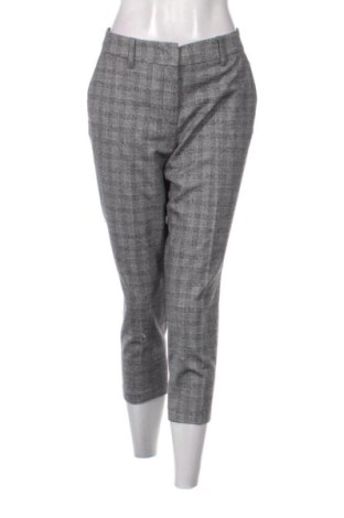 Damskie spodnie Tatuum, Rozmiar XXL, Kolor Kolorowy, Cena 170,00 zł