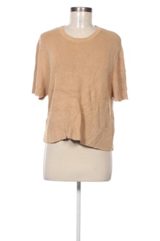 Γυναικείο πουλόβερ Dotti, Μέγεθος XL, Χρώμα Καφέ, Τιμή 17,99 €