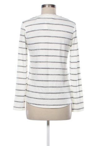 Damenpullover Market&Spruce, Größe S, Farbe Mehrfarbig, Preis € 30,99