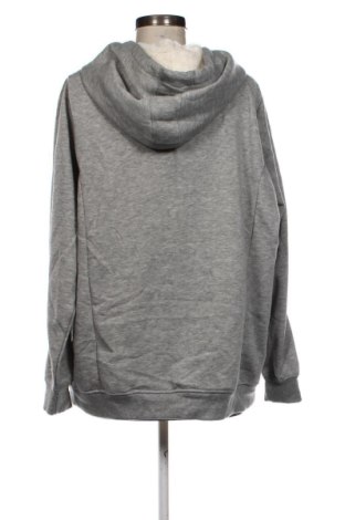 Damen Sweatshirt Ed.it.ed, Größe XXL, Farbe Grau, Preis € 12,99