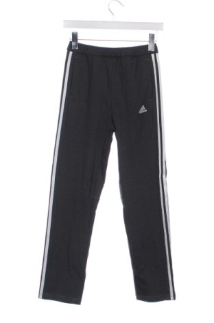 Damen Sporthose Adidas, Größe XS, Farbe Mehrfarbig, Preis € 27,99