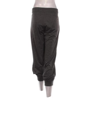 Дамско спортно долнище Crane, Размер XXL, Цвят Сив, Цена 8,18 €