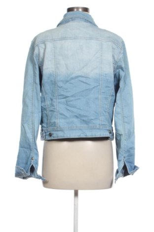 Γυναικείο μπουφάν New Star, Μέγεθος XL, Χρώμα Μπλέ, Τιμή 23,99 €