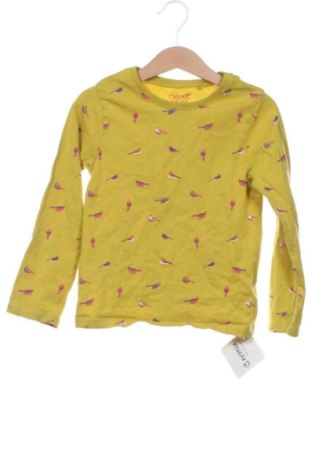 Gyerek blúz Next, Méret 4-5y / 110-116 cm, Szín Sokszínű, Ár 4 858 Ft