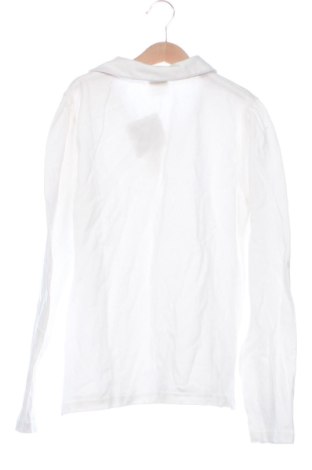 Kinder Shirt Zara, Größe 12-13y/ 158-164 cm, Farbe Weiß, Preis 7,10 €