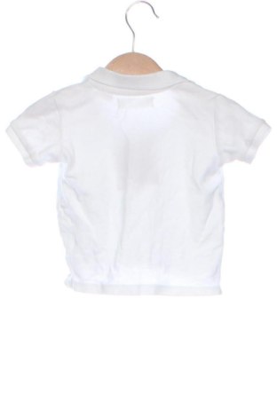 Kinder T-Shirt Zara, Größe 9-12m/ 74-80 cm, Farbe Weiß, Preis 4,00 €