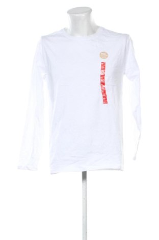 Pánské tričko  Anko, Velikost M, Barva Bílá, Cena  469,00 Kč