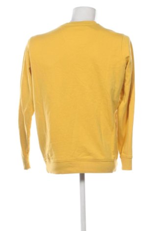 Ανδρική μπλούζα Fynch-Hatton, Μέγεθος M, Χρώμα Πορτοκαλί, Τιμή 58,99 €