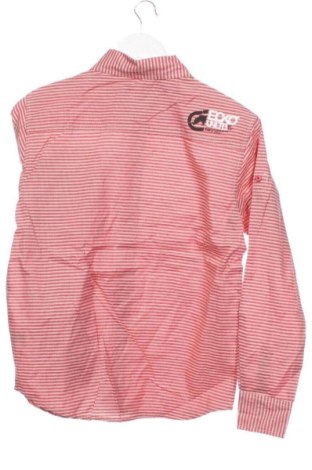 Męska koszula Ecko Unltd., Rozmiar M, Kolor Kolorowy, Cena 207,99 zł