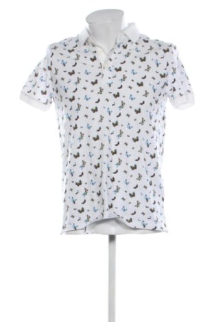 Pánské tričko  Bigotti, Velikost L, Barva Vícebarevné, Cena  1 566,00 Kč