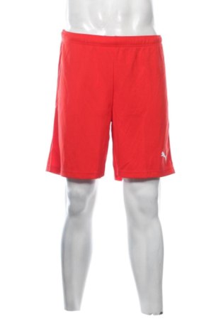 Pánské kraťasy PUMA, Velikost L, Barva Červená, Cena  519,00 Kč