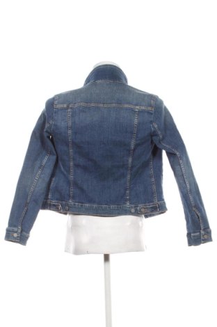 Ανδρικό μπουφάν Marc O'Polo, Μέγεθος L, Χρώμα Μπλέ, Τιμή 71,99 €