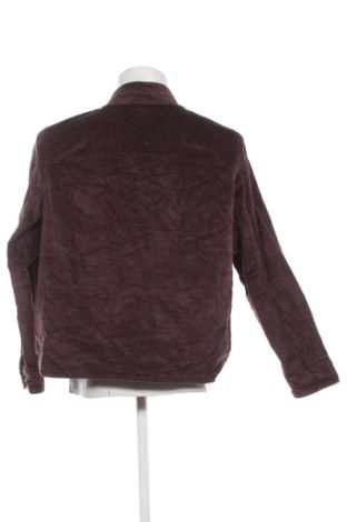 Ανδρικό μπουφάν The North Face, Μέγεθος M, Χρώμα Καφέ, Τιμή 73,99 €