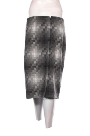 Φούστα Promiss, Μέγεθος L, Χρώμα Πολύχρωμο, Τιμή 19,99 €