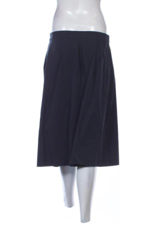 Fustă Zara, Mărime S, Culoare Albastru, Preț 72,99 Lei