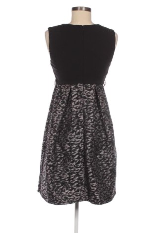 Šaty  Fracomina, Veľkosť S, Farba Viacfarebná, Cena  28,95 €