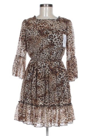 Šaty  Kaylla Paris, Veľkosť S, Farba Viacfarebná, Cena  17,95 €