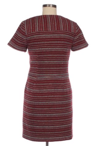 Φόρεμα Morgan, Μέγεθος M, Χρώμα Πολύχρωμο, Τιμή 24,45 €