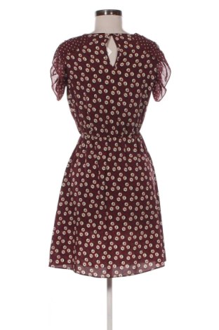 Kleid Motivi, Größe XS, Farbe Mehrfarbig, Preis € 17,99