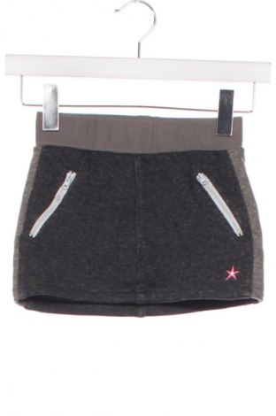 Детска пола Unbranded, Размер 4-5y/ 110-116 см, Цвят Сив, Цена 2,04 €