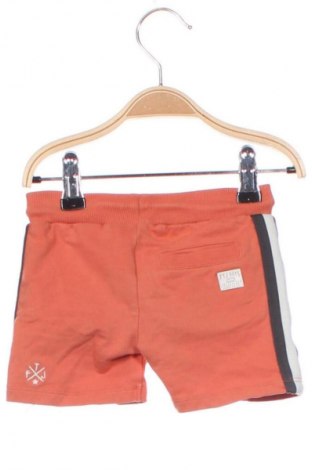 Детски къс панталон Feetje, Размер 6-9m/ 68-74 см, Цвят Многоцветен, Цена 2,04 €