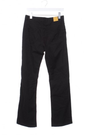 Herrenhose Unbranded, Größe S, Farbe Schwarz, Preis € 3,99