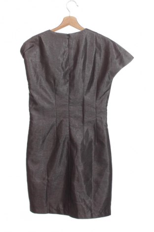 Рокля Unbranded, Размер XS, Цвят Кафяв, Цена 2,04 €