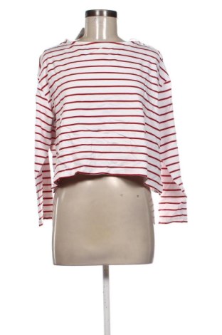 Γυναικεία μπλούζα Anko, Μέγεθος M, Χρώμα Πολύχρωμο, Τιμή 5,99 €