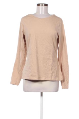 Γυναικεία μπλούζα Anna Field, Μέγεθος XL, Χρώμα  Μπέζ, Τιμή 9,78 €