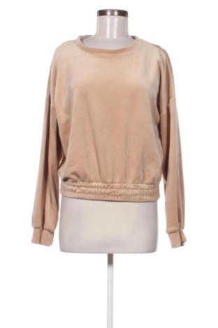 Γυναικεία μπλούζα Beloved, Μέγεθος L, Χρώμα Καφέ, Τιμή 10,00 €