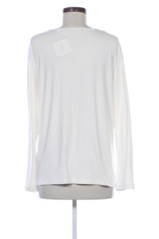 Damen Shirt Betty Barclay, Größe XL, Farbe Ecru, Preis € 24,55