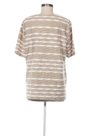 Γυναικεία μπλούζα Bexleys, Μέγεθος XL, Χρώμα Πολύχρωμο, Τιμή 10,99 €