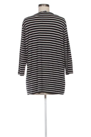 Γυναικεία μπλούζα Bonita, Μέγεθος XL, Χρώμα Πολύχρωμο, Τιμή 11,99 €