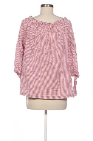 Γυναικεία μπλούζα Cartoon, Μέγεθος XL, Χρώμα Πολύχρωμο, Τιμή 5,99 €