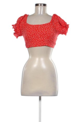 Γυναικεία μπλούζα Fisherfield, Μέγεθος XS, Χρώμα Πολύχρωμο, Τιμή 3,99 €