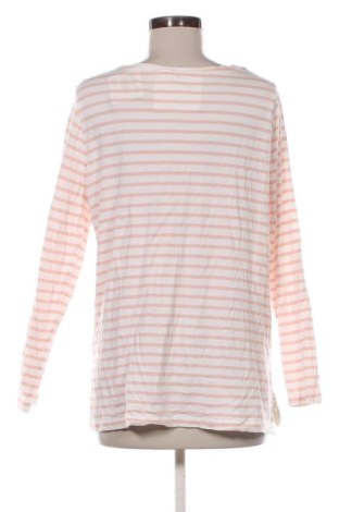 Γυναικεία μπλούζα Gina, Μέγεθος XL, Χρώμα Πολύχρωμο, Τιμή 7,99 €