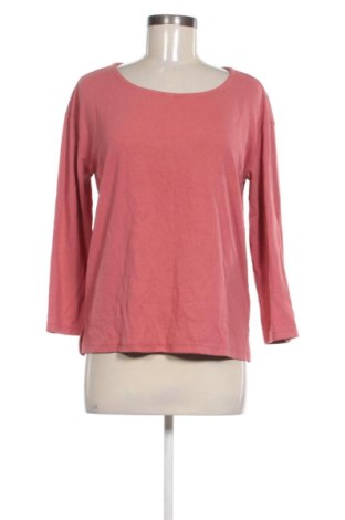Γυναικεία μπλούζα Gina, Μέγεθος S, Χρώμα Σάπιο μήλο, Τιμή 6,99 €
