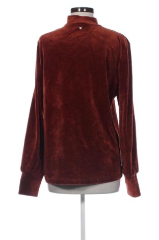 Dámska blúza Helena Hart, Veľkosť XXL, Farba Hnedá, Cena  6,95 €