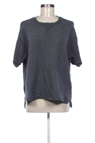 Γυναικεία μπλούζα Ivy Park, Μέγεθος L, Χρώμα Γκρί, Τιμή 15,99 €