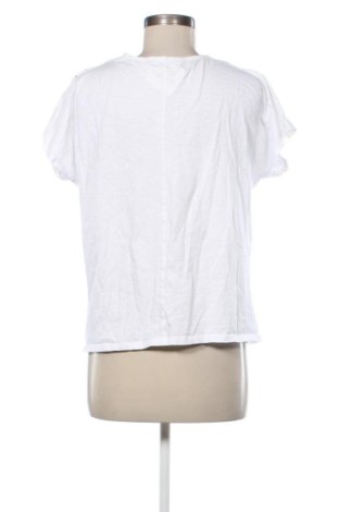 Damen Shirt LC Waikiki, Größe XL, Farbe Mehrfarbig, Preis € 13,00
