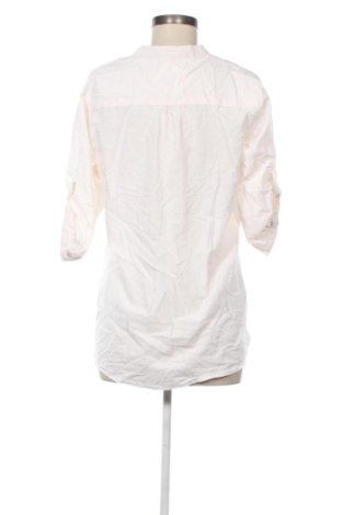 Γυναικεία μπλούζα Montego, Μέγεθος XL, Χρώμα Ρόζ , Τιμή 6,99 €