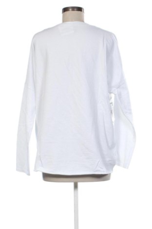 Bluzka damska NEW COLLECTION, Rozmiar XL, Kolor Kolorowy, Cena 91,09 zł