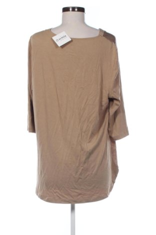 Damen Shirt Riani, Größe L, Farbe Braun, Preis € 59,00