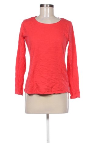 Damen Shirt S.Oliver, Größe XS, Farbe Rot, Preis 22,99 €