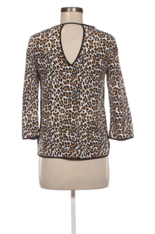 Γυναικεία μπλούζα Sfera, Μέγεθος S, Χρώμα Πολύχρωμο, Τιμή 5,99 €