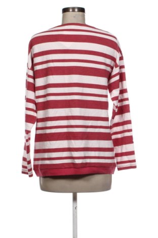 Γυναικεία μπλούζα Steilmann, Μέγεθος M, Χρώμα Πολύχρωμο, Τιμή 5,99 €