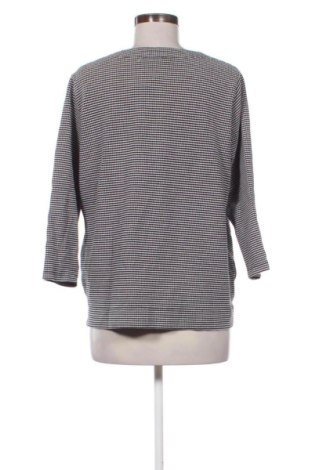 Γυναικεία μπλούζα Sure, Μέγεθος XXL, Χρώμα Πολύχρωμο, Τιμή 4,99 €