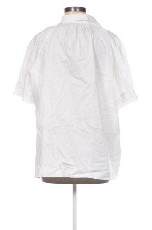 Dámska blúza Taifun, Veľkosť XXL, Farba Biela, Cena  17,95 €