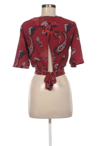 Damen Shirt Terranova, Größe XS, Farbe Mehrfarbig, Preis € 10,99